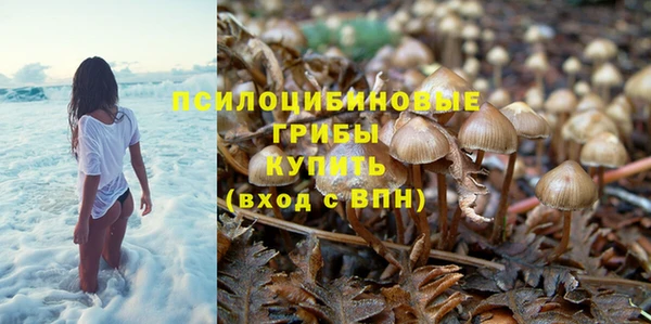 МДПВ Армянск
