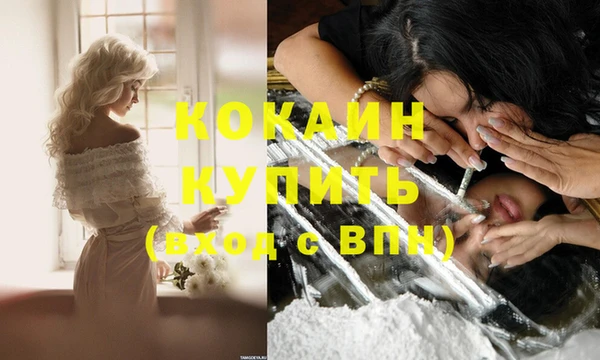 крисы Арсеньев